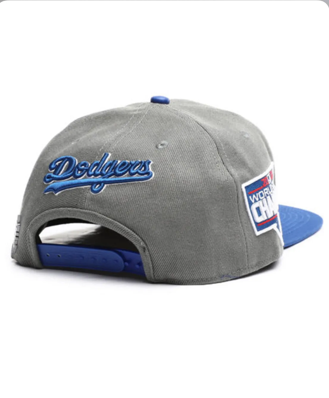 PRO STANDARD LA DODGERS HAT