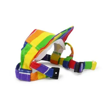 Rainbow Hat