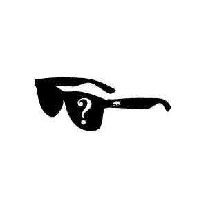 Sunglasses Grab Bag x1