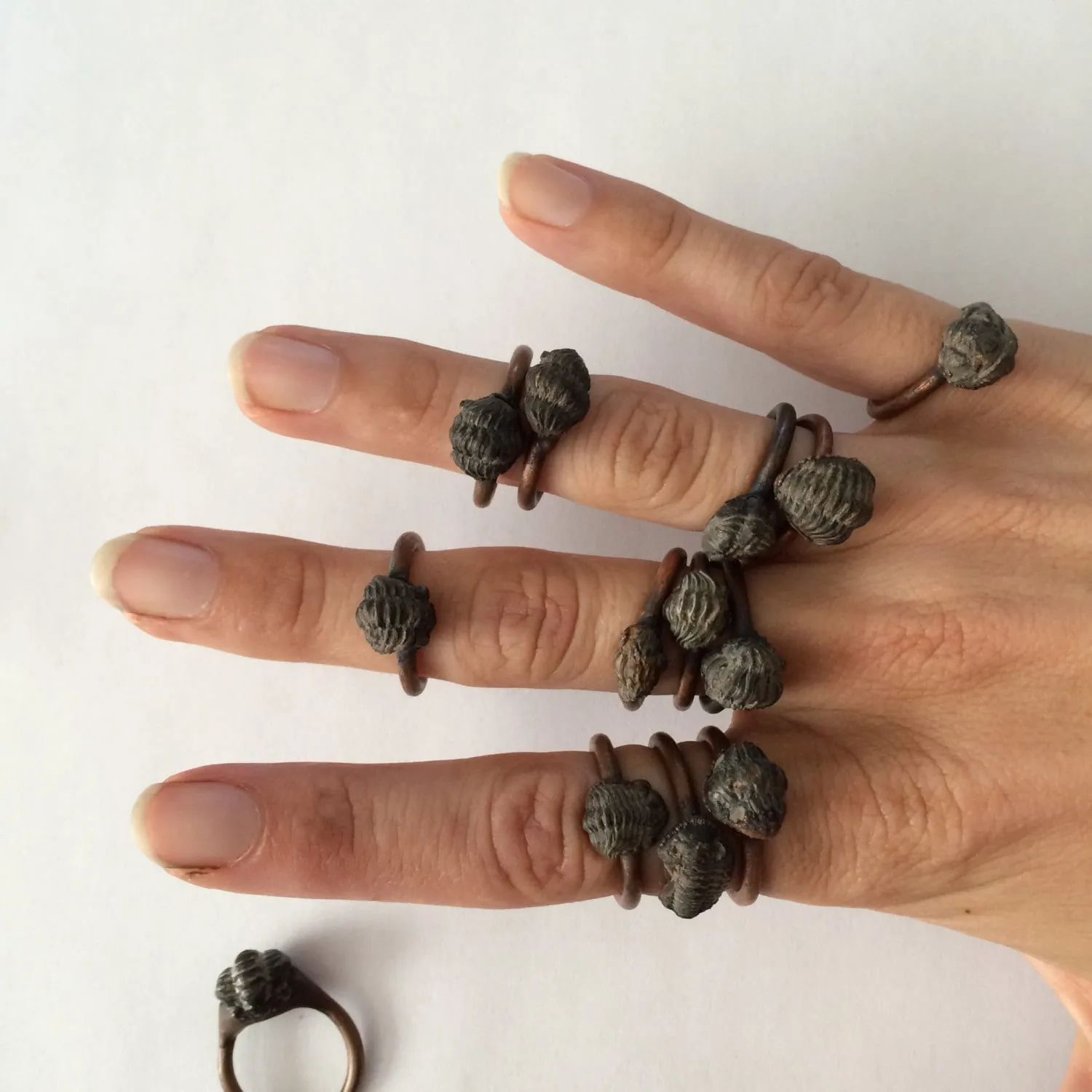 Trilobite fossil ring | Electroformed fossil jewelry