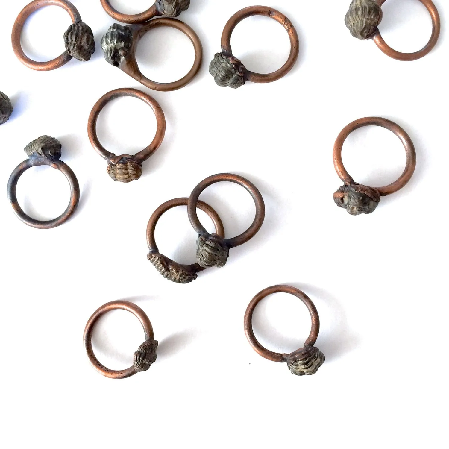 Trilobite fossil ring | Electroformed fossil jewelry