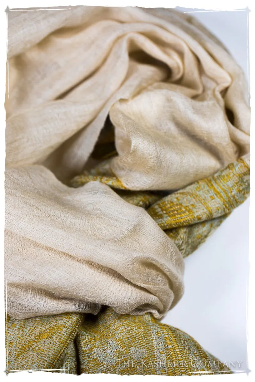 Zaynab Paisley Frontière Pashmina Cashmere Scarf