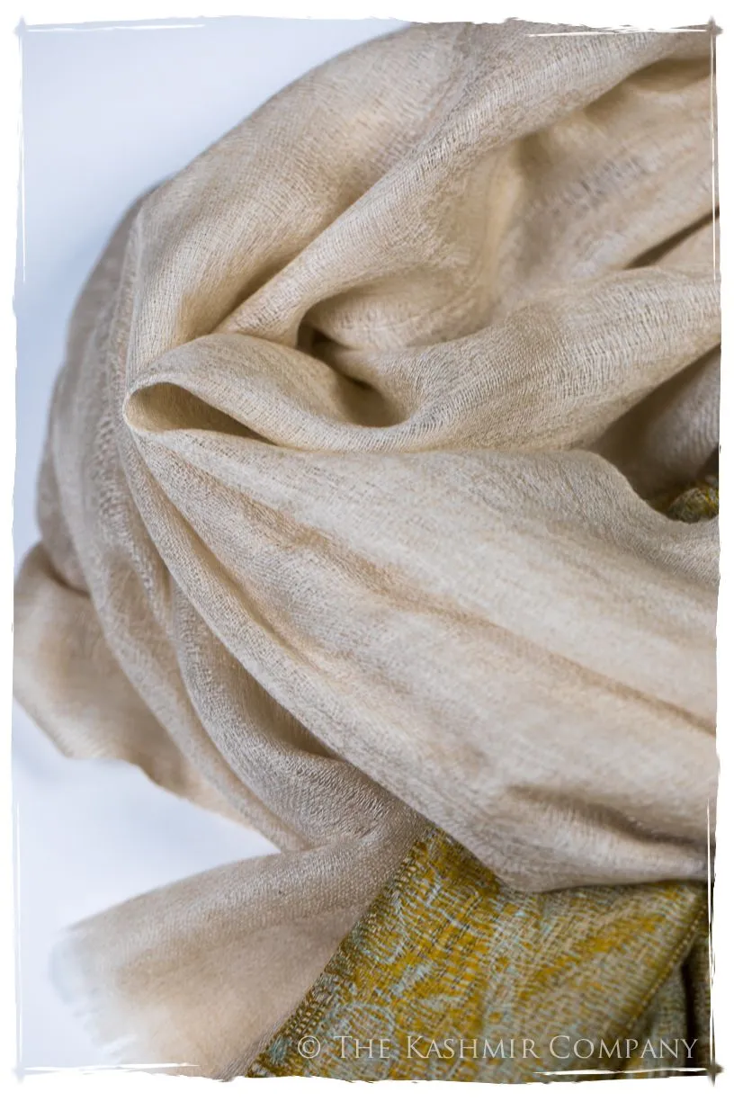 Zaynab Paisley Frontière Pashmina Cashmere Scarf